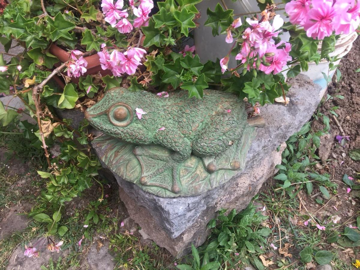 ホテル Casona Mollepata エクステリア 写真